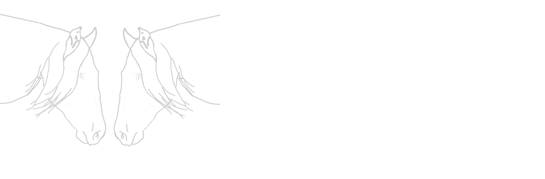 Tinkoandy